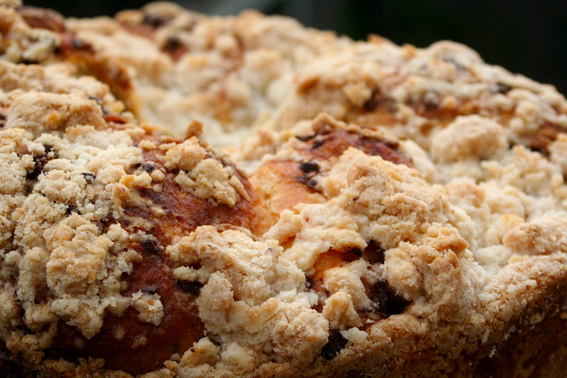 Chocolate Cinnamon Babka